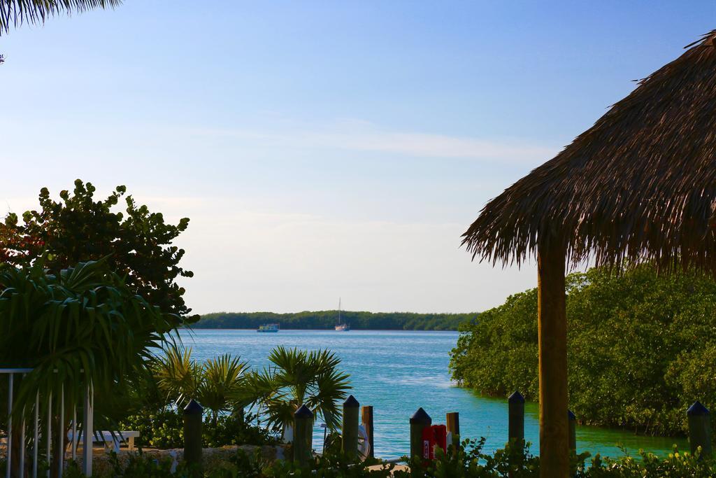 Little Basin Villas Islamorada Exterior foto